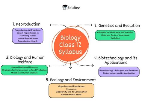 NEET Exam Classwise Biology Syllabus 2025 PDF Download