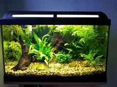 Aquarium Designs For Fish by 28 Modern Fish Tanks That Inspire Relaxation Aquarium Designs For Fish