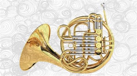 Image result for Brass Instruments French Horn