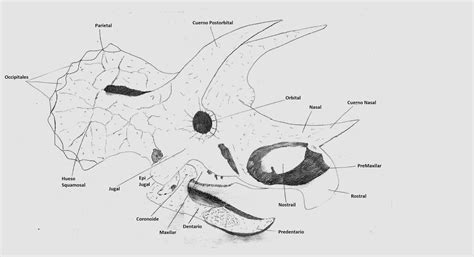 Image result for CT Spatial Resolution Line Pattern