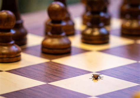 Magnus Carlsen dominates day one of Tata Steel Chess India 2019 Rapid ...