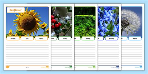Plants Simple Sentence Photo Worksheets - KS1 - SEND