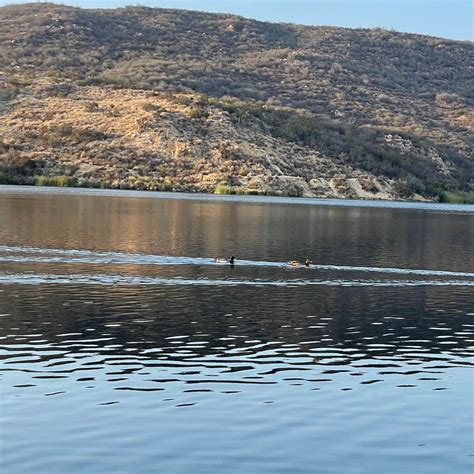 Dixon Lake Campground | The Dyrt