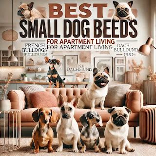 The Best Small Dog Breeds for Apartment Living