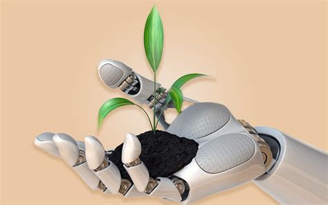 AI Design Principles 的图像结果