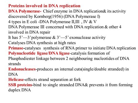 DNA Structure and Replication PPTX