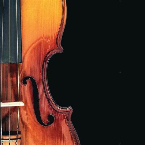 Sbu Calendar Spring 2026 - 2026 Printable Calendar