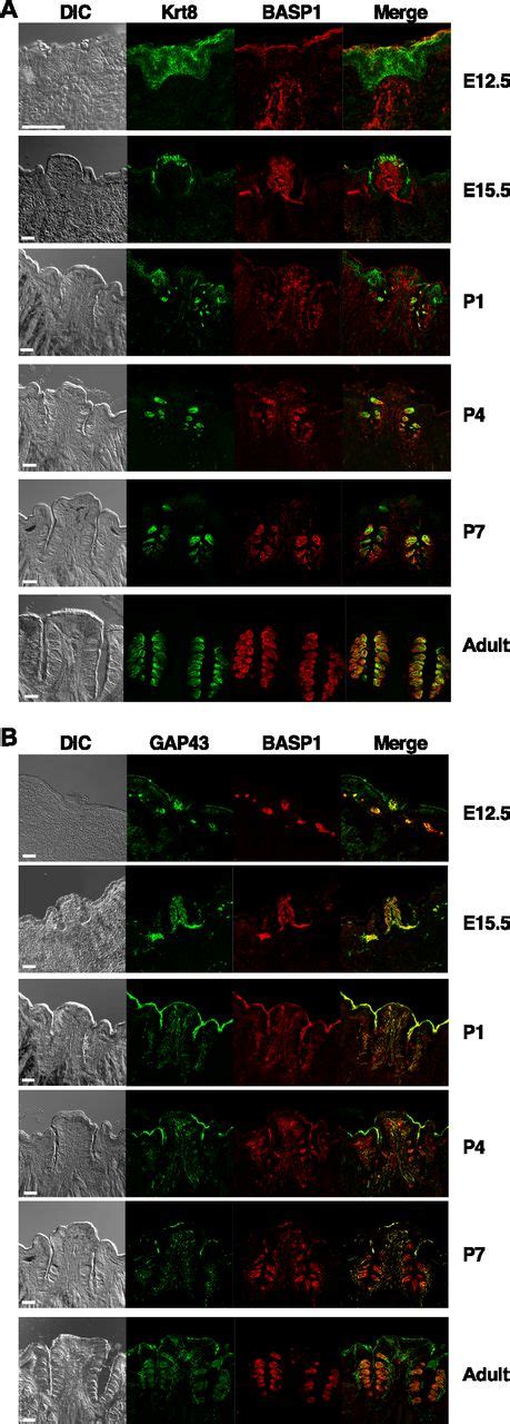 Image result for Life Science Exam Prep