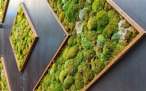 Image result for Grocery Store Design