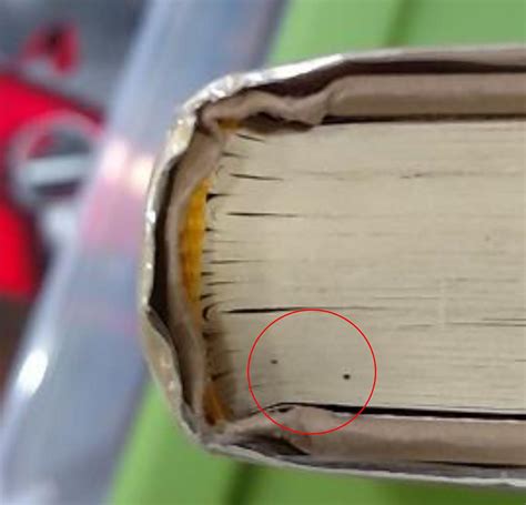 Before Lincoln library books are checked in, they’re checked out for ...