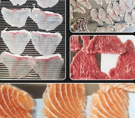 Image result for Fish Cutter Processing Machine