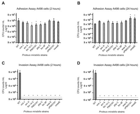 Role of Bacterial Surface Components in the Pathogenicity of Proteus ...
