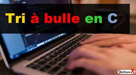 Tri a Bulle Java 的图像结果