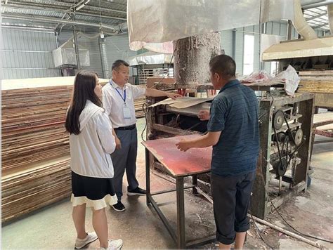 宿迁开展木材加工和家具制造产业安全生产工作专项督导-中国木业网