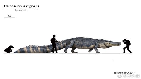 地球史前最龐大的鱷魚，以恐龍為食，能活到成年的卻極少 - 每日頭條