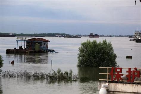 大雨暴雨继续 长江流域共76条河流发生洪水|洪水|强降雨_新浪新闻