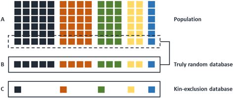 On the Forensic Use of Y-Chromosome Polymorphisms