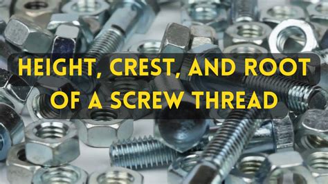 Image result for Thread Root