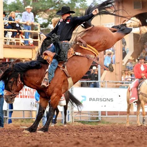 BUCKING HORSES — Timber Creek Veterinary Hospital