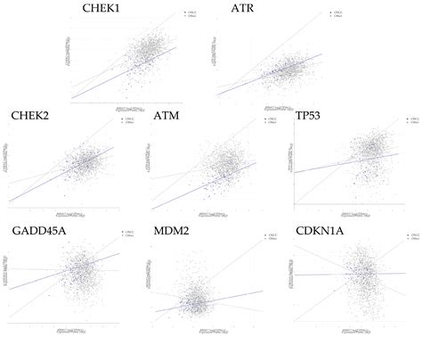 RBM17 Promotes the Chemoresistance of Oral Squamous Cancer Cells ...