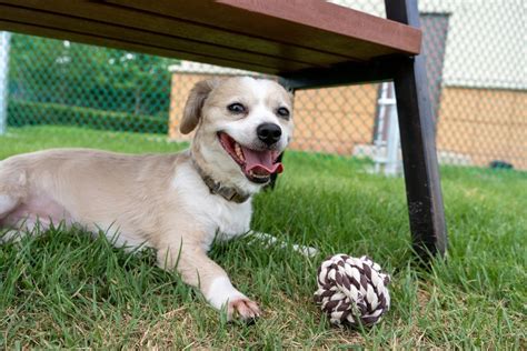 Daegu Public Works completes new park, plans another | Article | The ...