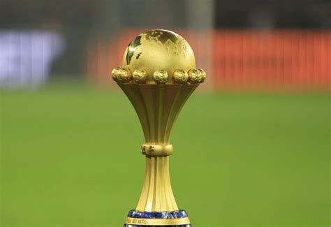 Image result for Can You Eat Python's