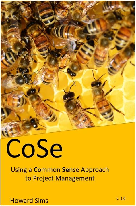 CoSe: Using a Common Sense Approach to Project Management eBook : Sims ...