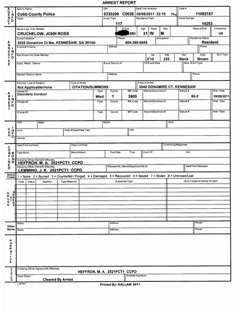 Image result for Sample Police Report Example