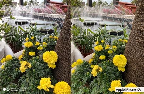 Redmi Note 7 Pro Vs iPhone XR Camera Comparison