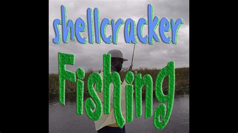 Image result for Shellcracker Fishing 2014