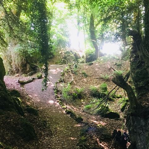 The Best Clearwell Specialty Lodging 2026 (with Prices) - Tripadvisor