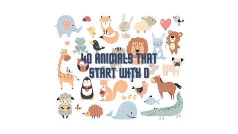 40 Animals that Start with D - Meredith Plays