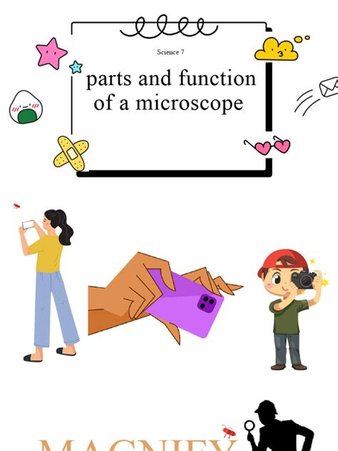 Image result for Function of Microscope