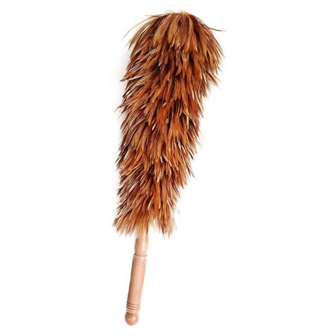 Using Feather Duster 的图像结果
