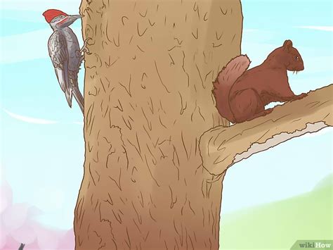 Identify Elm Tree 的图像结果