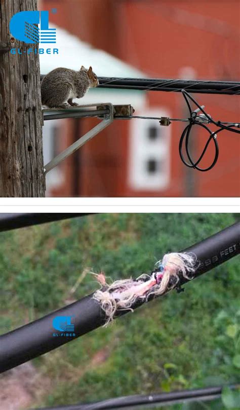 Image result for 3D Vision System Cables Insection