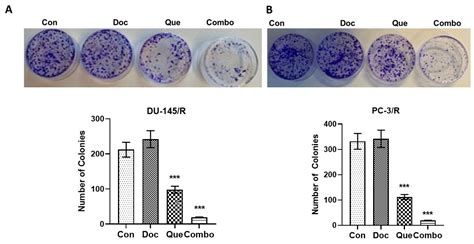 Combination Modality Using Quercetin to Enhance the Efficacy of ...