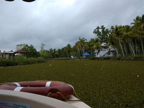 Poovar Island (Trivandrum) - What to Know Before You Go (with reviews ...