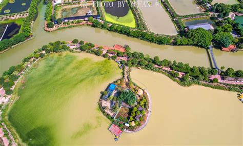 池塘“鱼-水生植物”生态循环技术-搜狐大视野-搜狐新闻