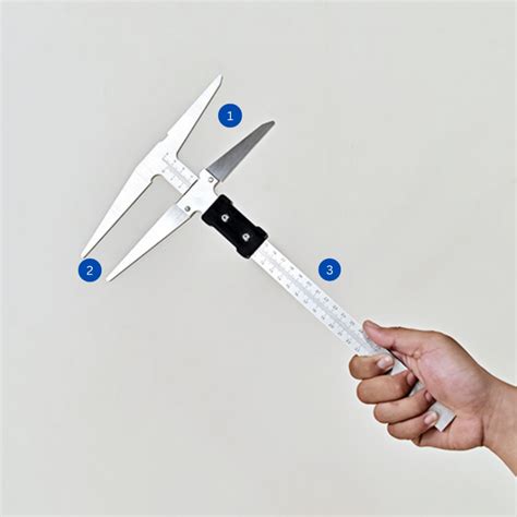What Are The 4 Types Of Calipers at Ellis Brashears blog