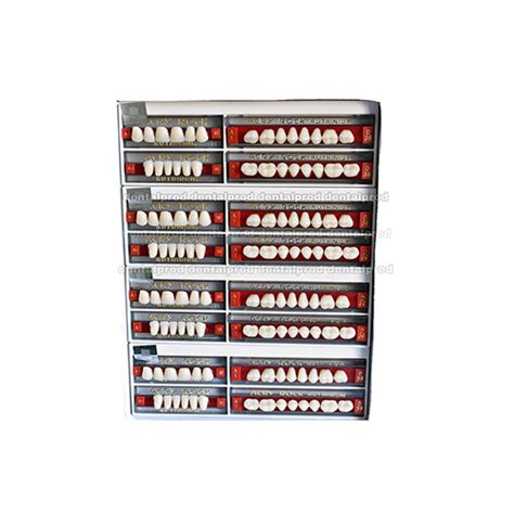 Ruthinium Acry Rock Acrylic Dental Teeth Set A1 – Dental Prod