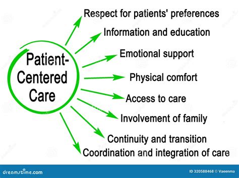 Patient Centered Care With Comprehensive Medical Assistance Outline Diagram Vector Illustration ...