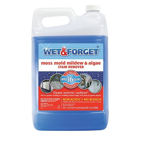 WET AND FORGET Liquid 10 L Mold, Moss, Algae, Mildew Remover, Jug ...