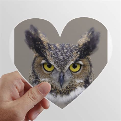 N/A Owl Eyes Pupil Night Art Deco Fashion Heart Vinyl Sticker Bicycle ...