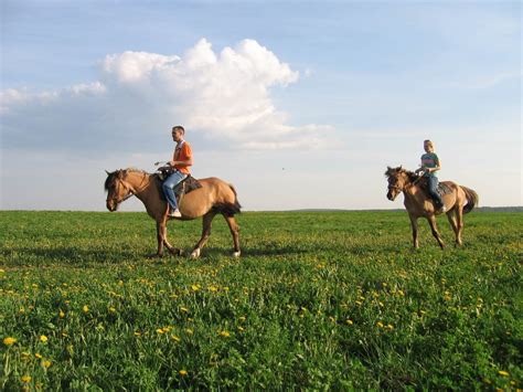 Конная прогулка для двоих. Конный клуб Konipark в Москве