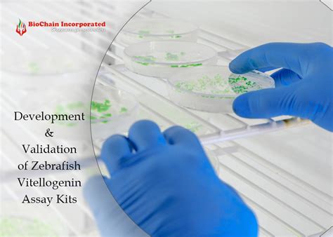 Read Our Blog | latest Info About Pharma | Biochain