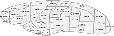 Image result for Language Mapping Scan