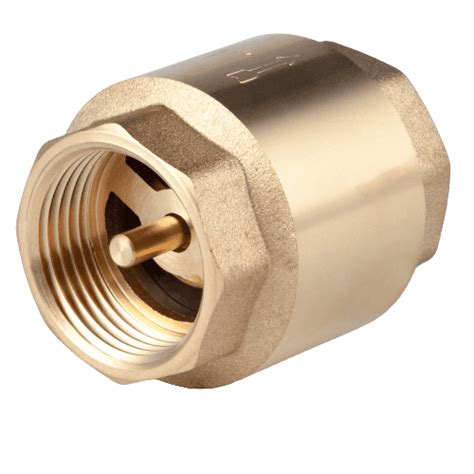 Image result for Spring for Check Valve