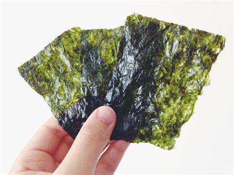 Who Invented Nori at Mary Murrow blog