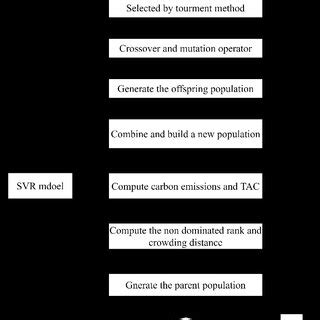 NSGA 2 Python Code 的图像结果